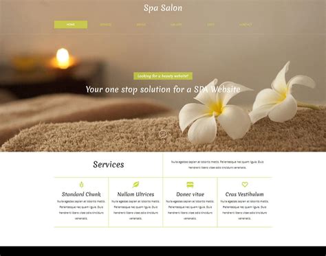 Spa website template