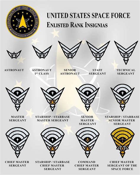 Space Force Rank Insignia