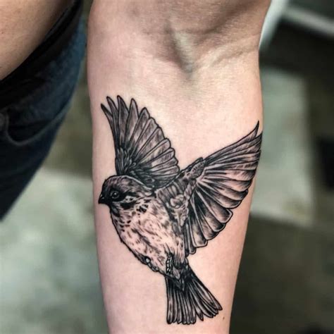 Sparrow bird tattoo meaning