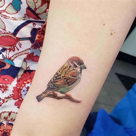 Sparrow tattoo ideas for women