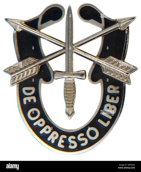 Special Forces Insignia