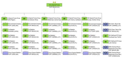 Special Forces Rank Structure