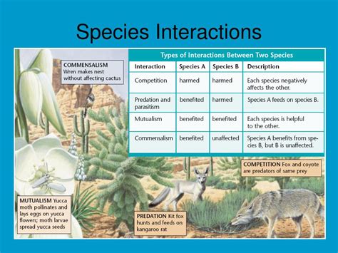 Species Interactions