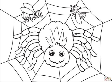 Spider Coloring Pages for Kids Learning