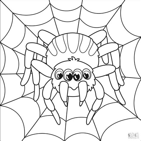 Spider Coloring Pages for Preschoolers