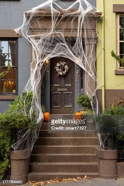 A giant spider web doorway with a giant spider in the center