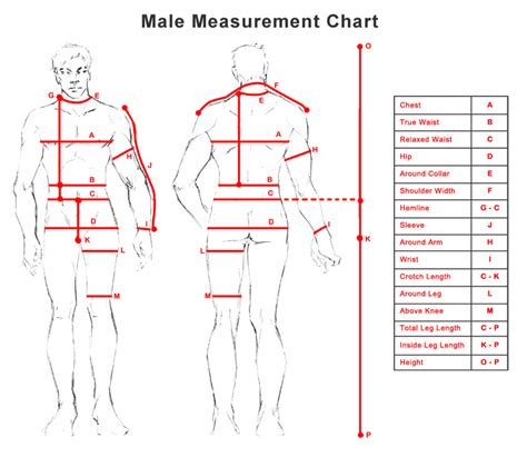 Spider-Man Proportional Measurement Template