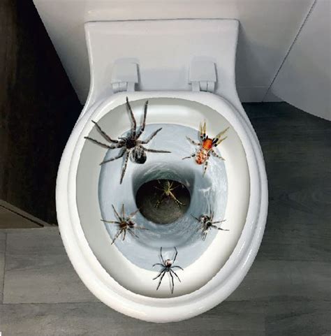 Spiderwebs on toilet meme