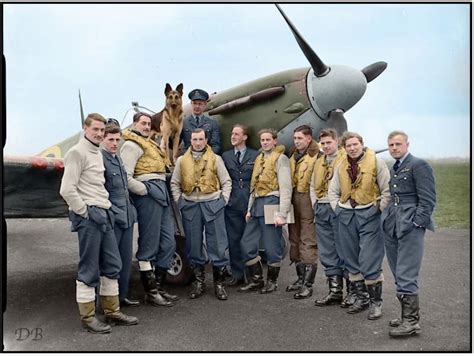 Spitfire pilots and crews