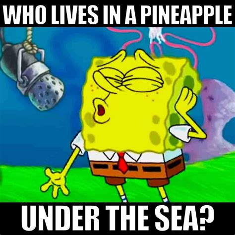 SpongeBob Meme 5