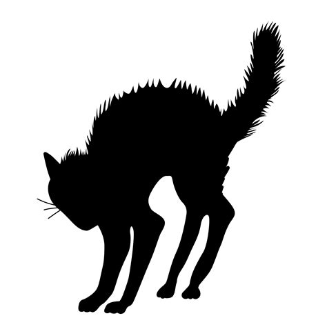 Spooky Black Cat Silhouette