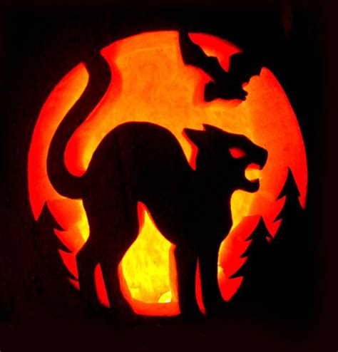 Spooky cat pumpkin carving template gallery 1