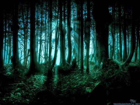 Spooky forest with glowing eyes