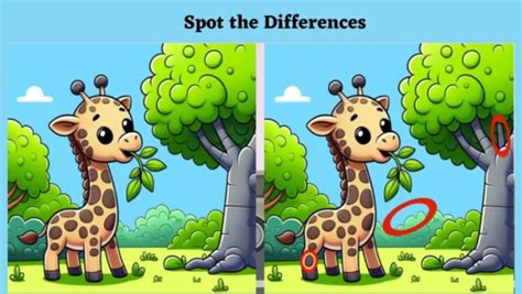 Spot the difference pictures