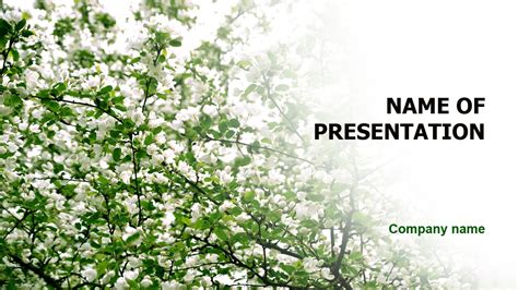 Spring Blooms PowerPoint Template