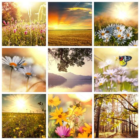 Spring floral photo collage template