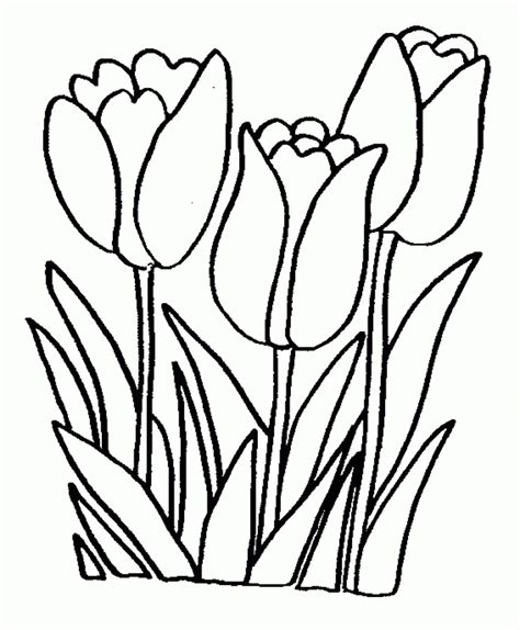 Spring flowers coloring pages