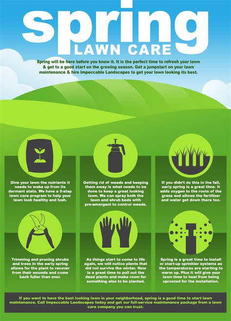 Spring Lawn Care Flyer