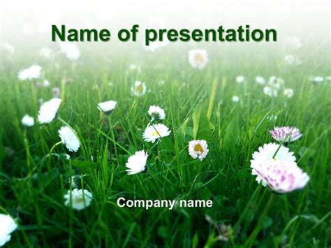 Spring PowerPoint Template Business