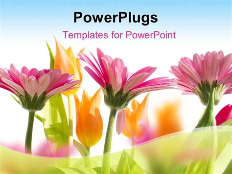 Spring PowerPoint Template Ideas 2