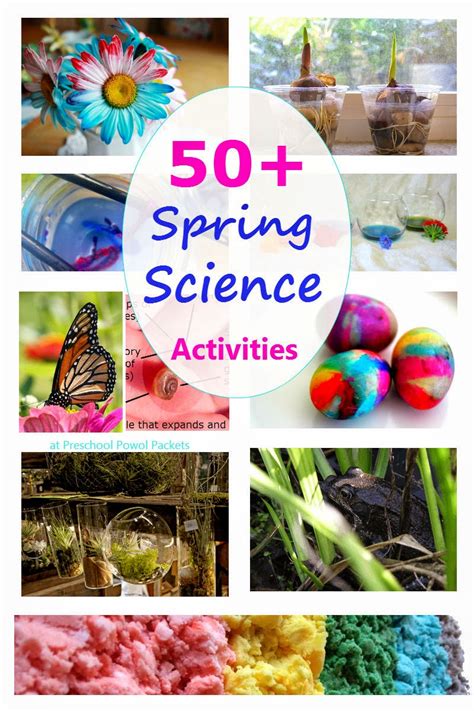 Spring Science