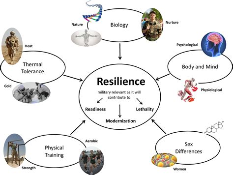 An illustration of Sprunki adaptation and resilience