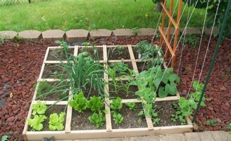 Square foot gardening ideas example