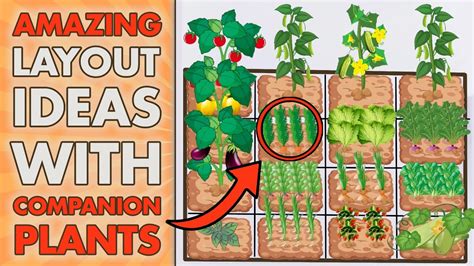 Square Foot Gardening Layout