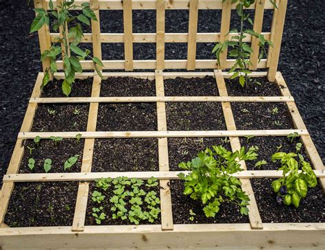 Square foot gardening maintenance example