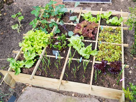 Square Foot Gardening Mistakes