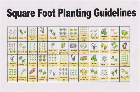 Square foot gardening spacing example