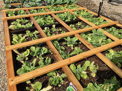 Square foot gardening tips example