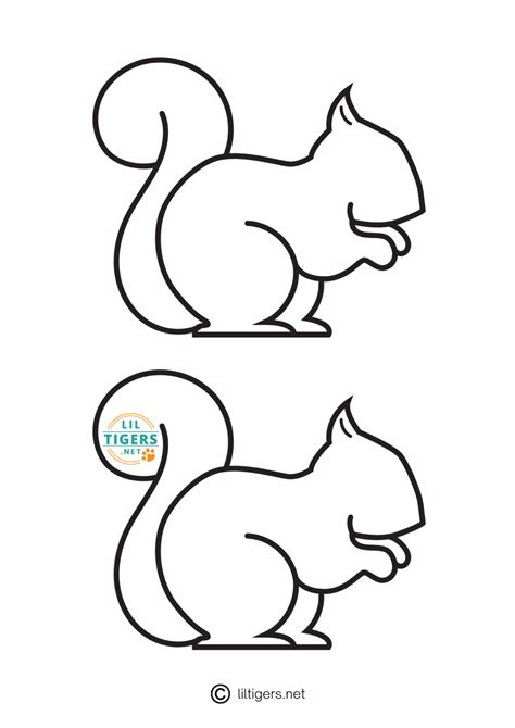 Squirrel Body Template