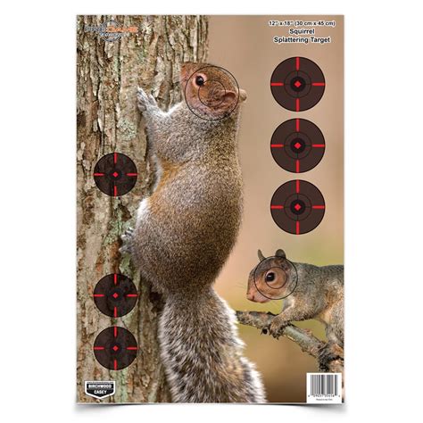 Squirrel bullseye targets for accuracy practice