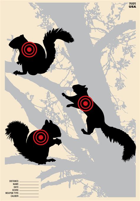 Squirrel cartoon targets for fun shooting drills