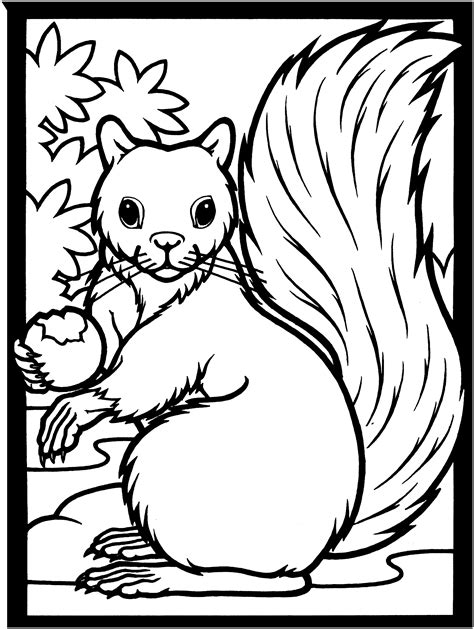 Squirrel Coloring Pages