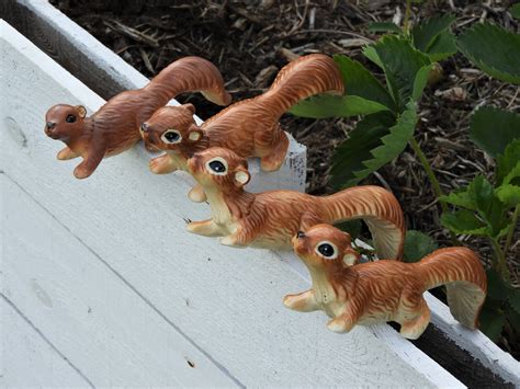 Squirrel Decorations