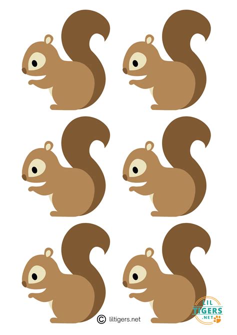 Squirrel Face Template