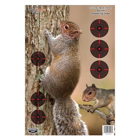 Squirrel Hunting Targets Printable