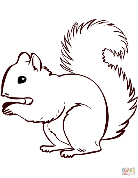 Squirrel Printables