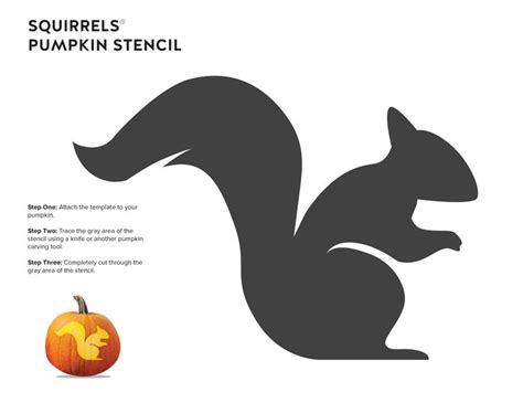 Squirrel pumpkin stencil template cute