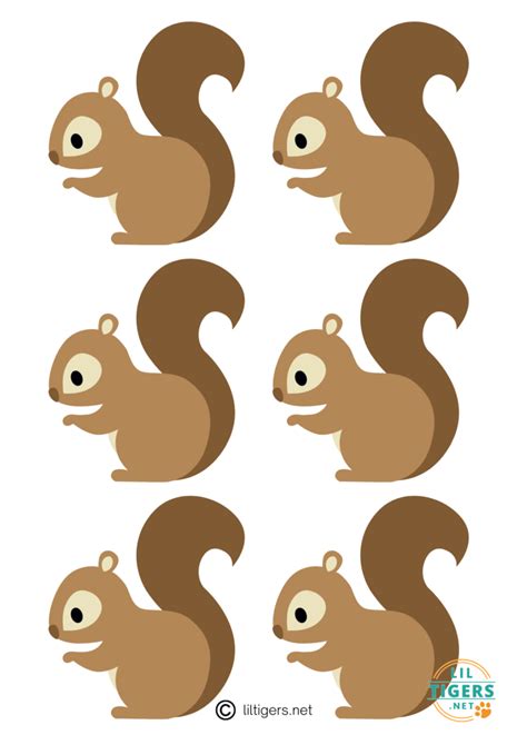 Squirrel Template 1