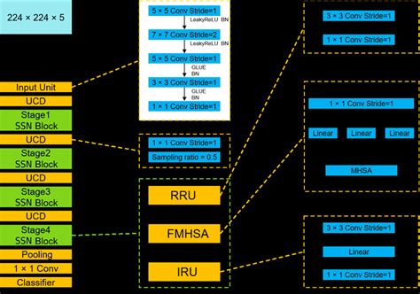 SSN Structure Explanation