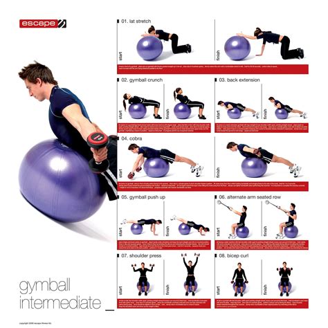 Stability Ball Exercises for Gym Workout