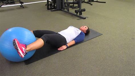 Stability Ball Leg Raises Exercise