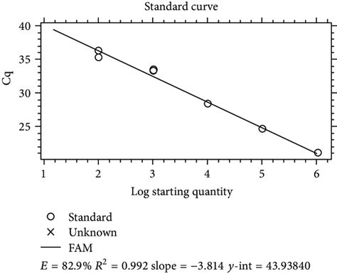 Log-Log Standard Curve