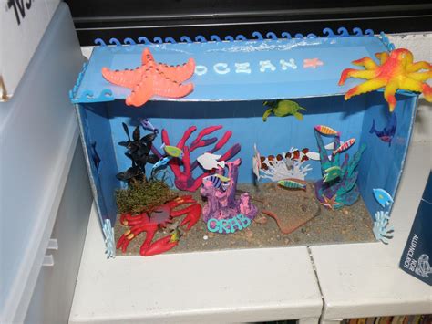 Starfish Habitat Diorama Template for Educational Projects