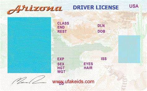 State-Specific Driver's License Template