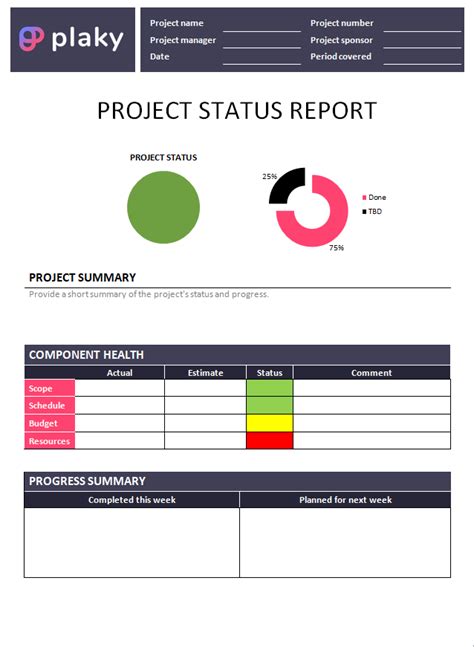 Excel Status Report Template