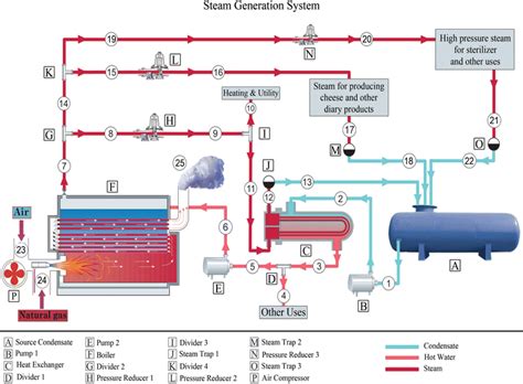 Steam Generation System